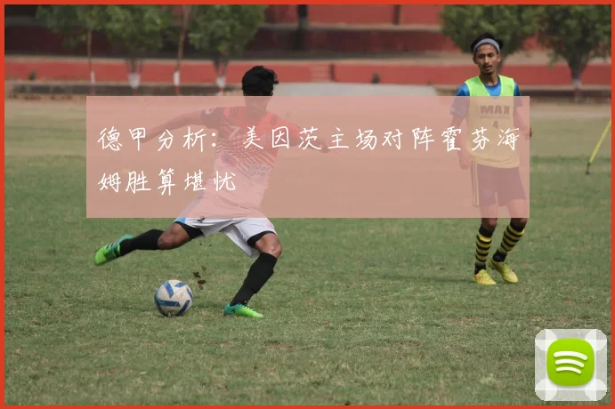 德甲分析：美因茨主场对阵霍芬海姆胜算堪忧