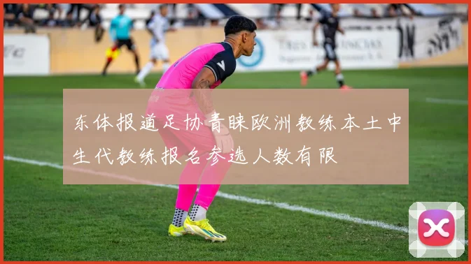 东体报道足协青睐欧洲教练本土中生代教练报名参选人数有限