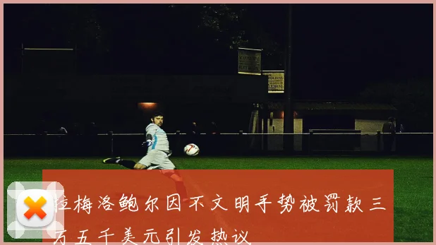 拉梅洛鲍尔因不文明手势被罚款三万五千美元引发热议