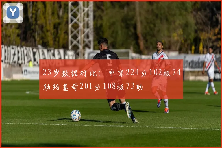 23岁数据对比:申京224分102板74助约基奇201分108板73助