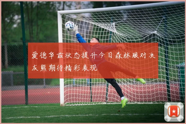 爱德华兹状态提升今日森林狼对决灰熊期待精彩表现